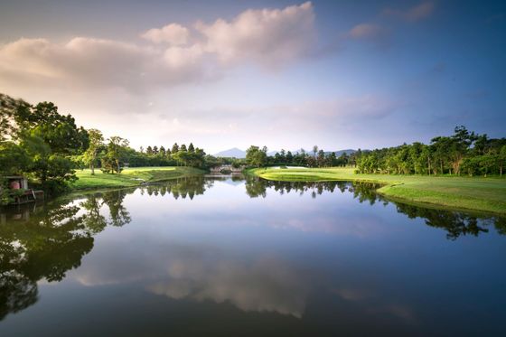 A large body of water surrounded by trees and grass.