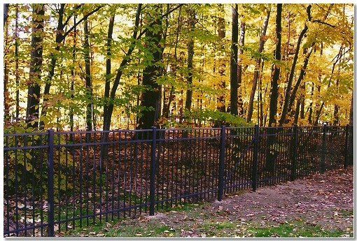 Black Iron Fence — Green, OH — Big John Fence Company