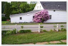 White Wood Fence — Green, OH — Big John Fence Company
