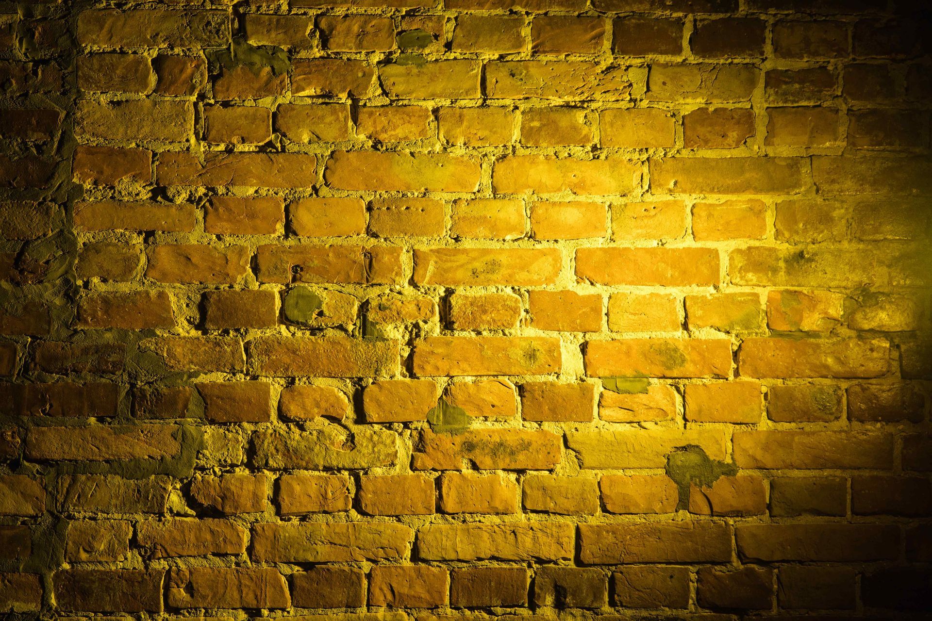 A harshly lit old brick wall.