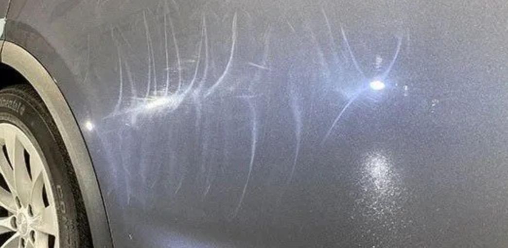 Professional Paint Correction
