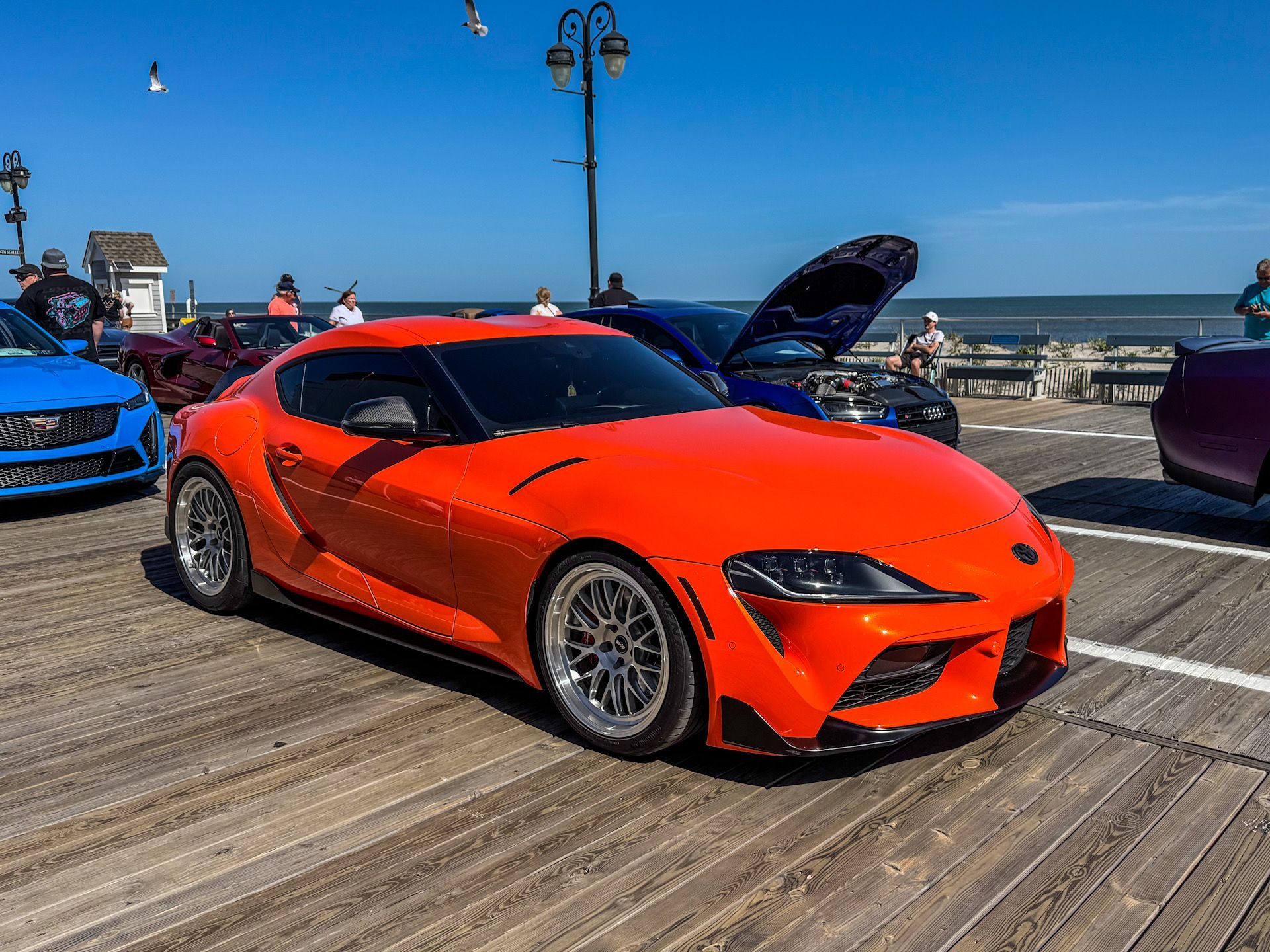 STEK Paint Protection Film