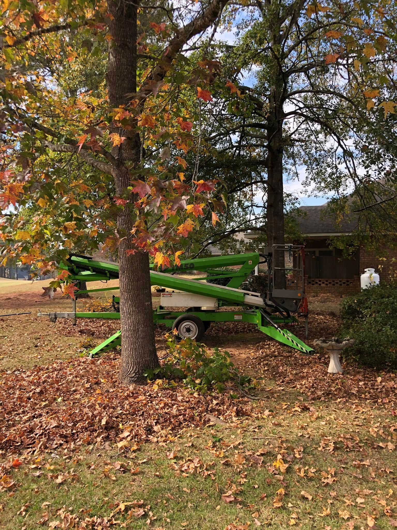 A green crane is sitting next to a tree in a yard.