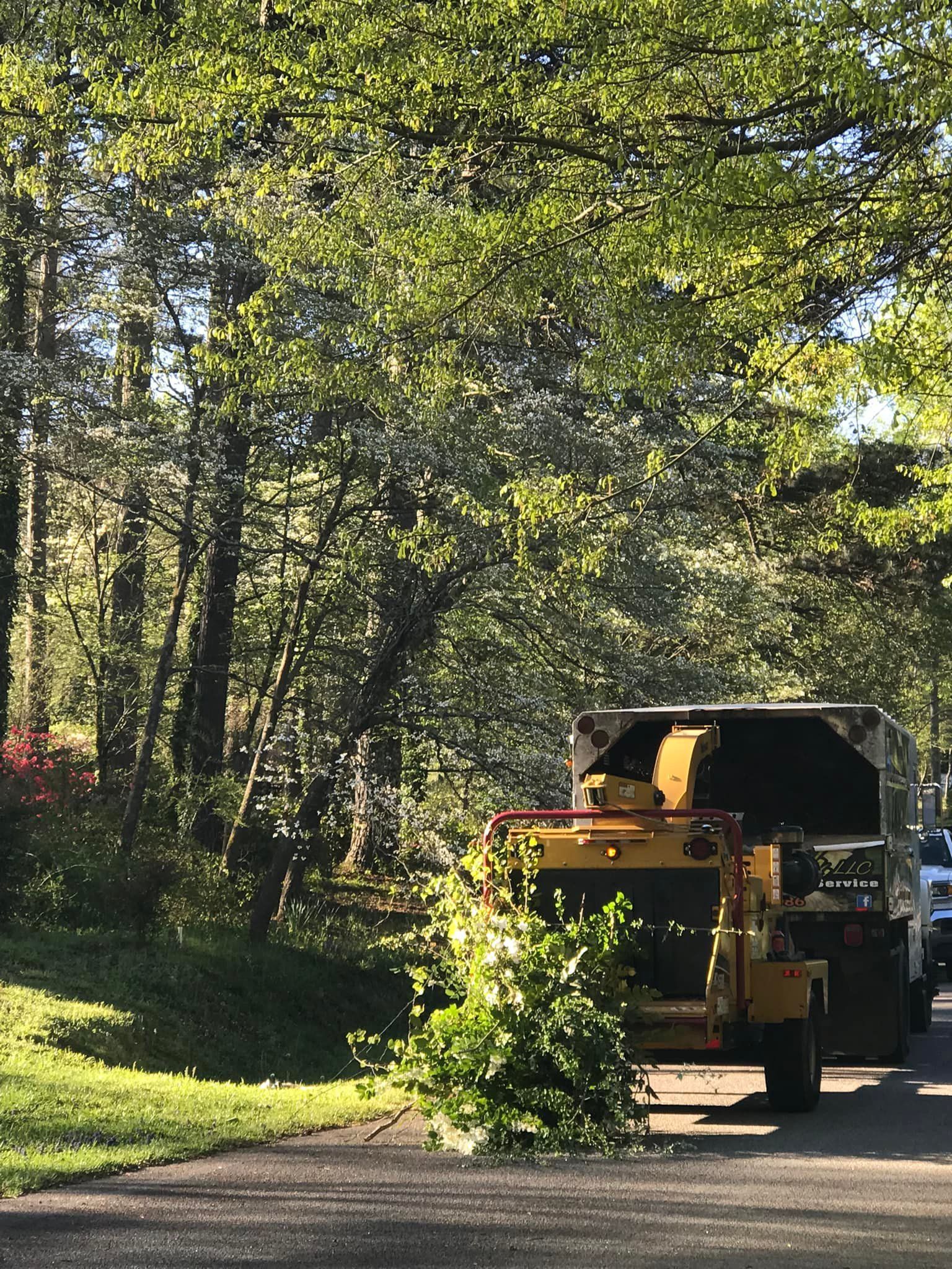 A tree chipper is cutting down a tree in a driveway.
