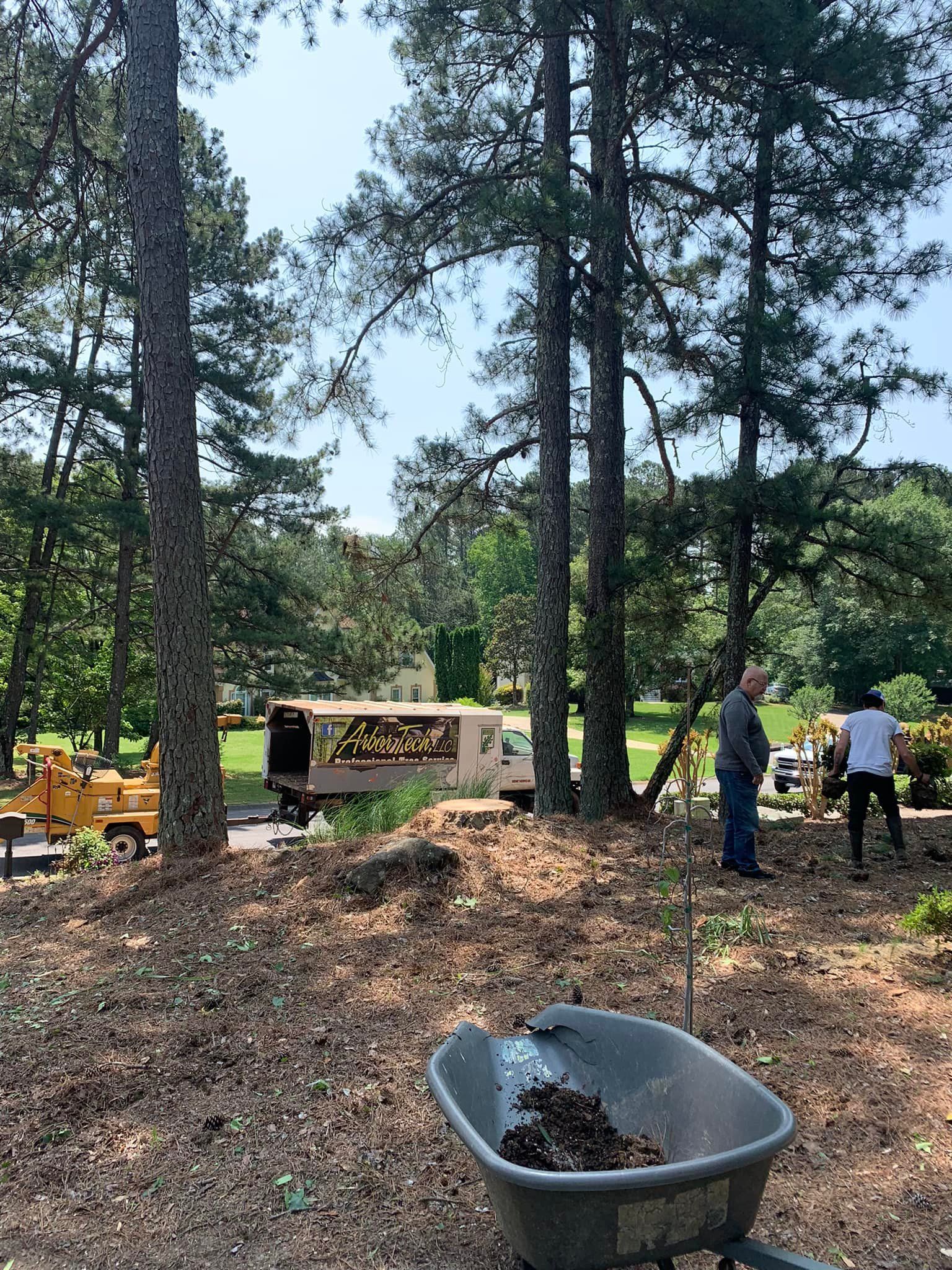 A wheelbarrow filled with dirt is sitting in the middle of a forest.