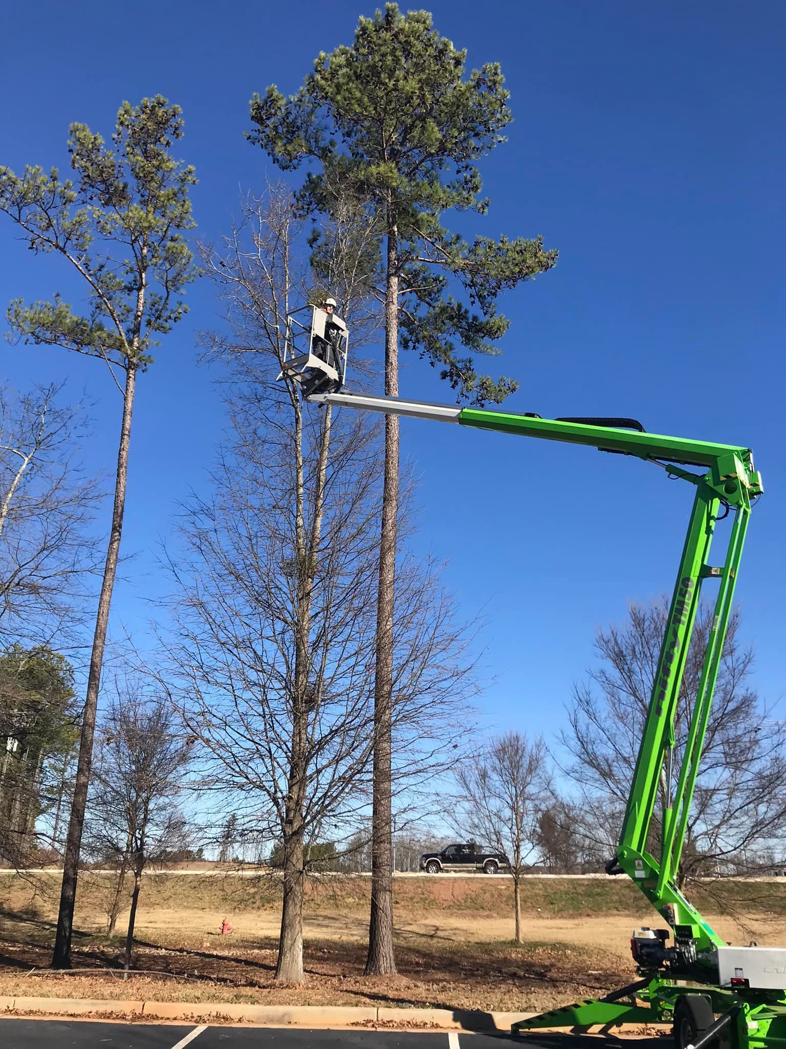A green crane is cutting a tree in a parking lot.