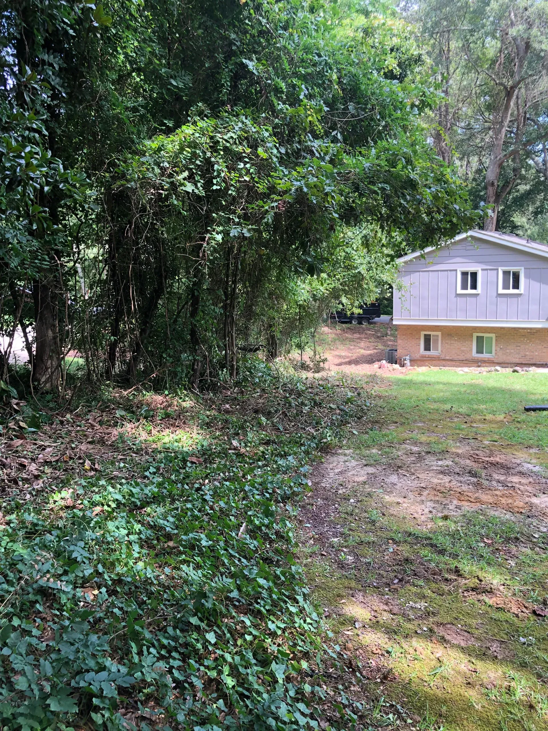 A house is surrounded by trees and bushes in the middle of a forest.