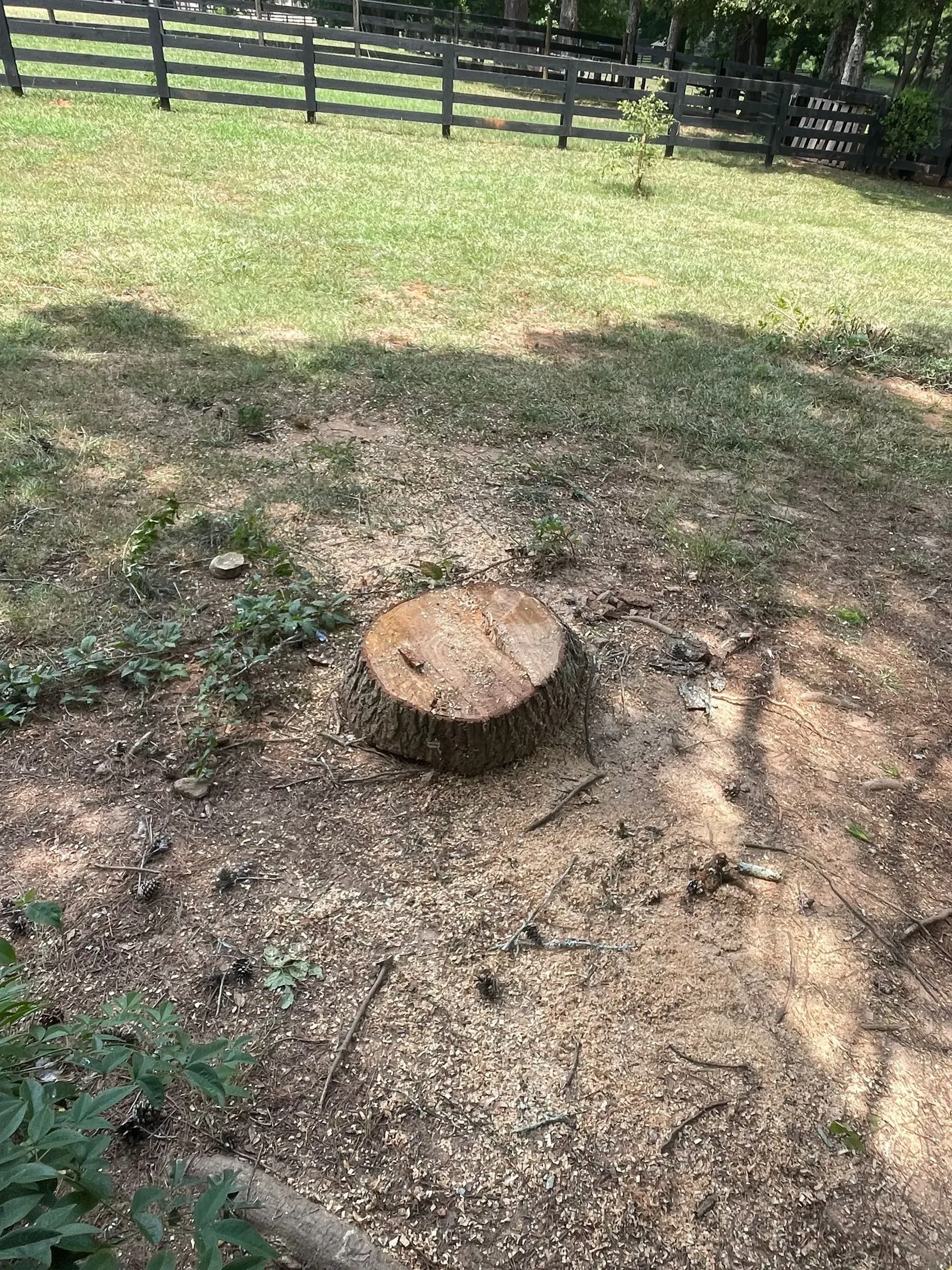A tree stump is sitting in the middle of a grassy field.