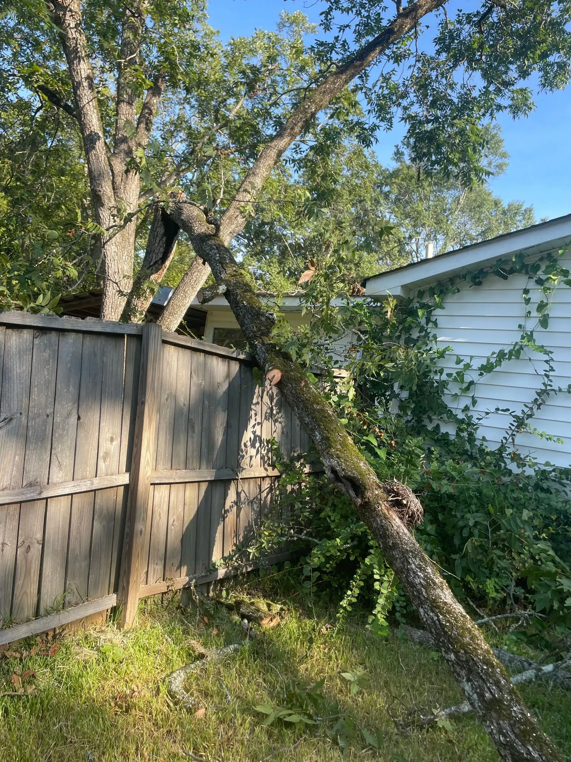 A man wearing a mask is holding a box of pizza