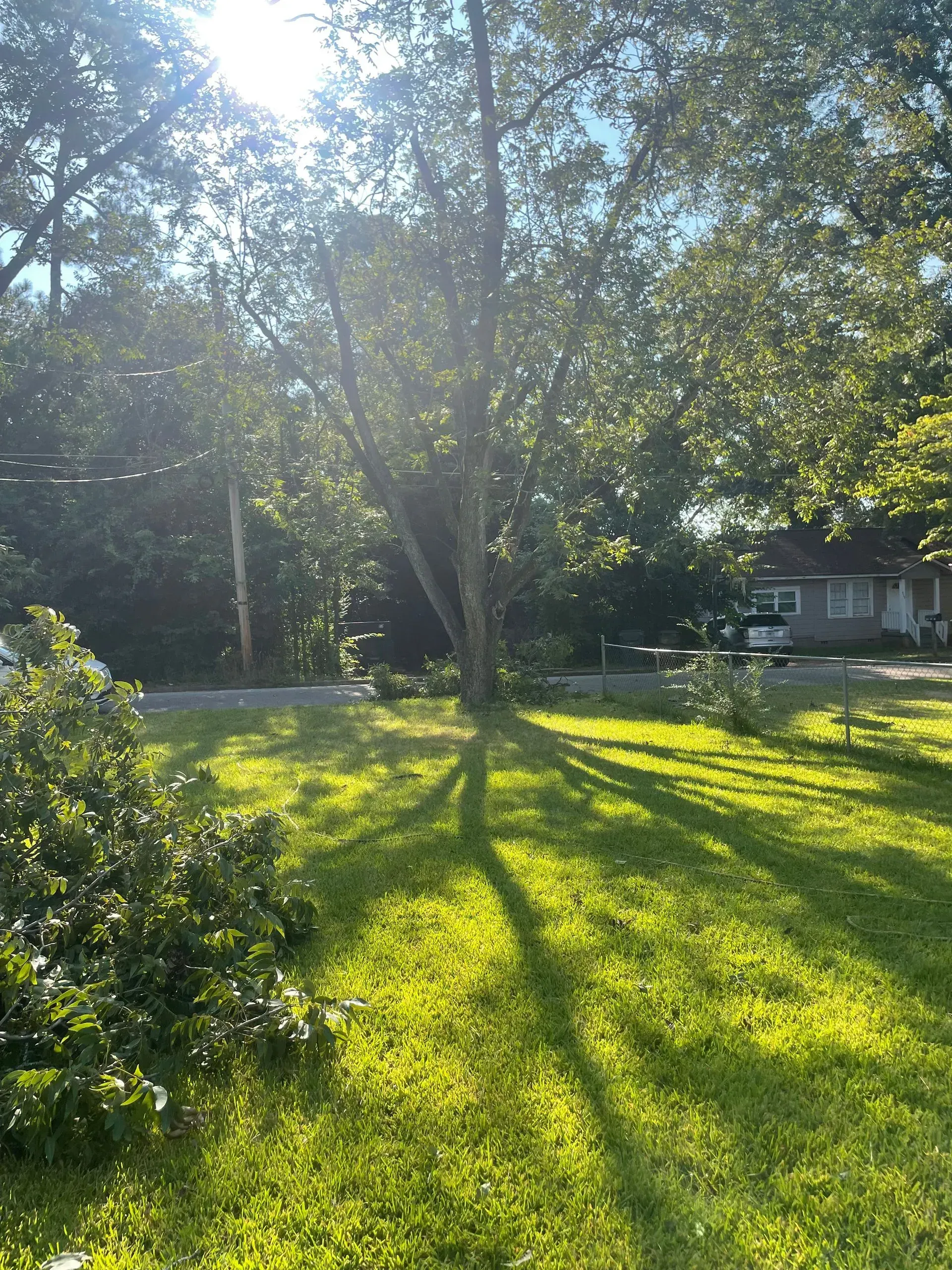 The sun is shining through the trees and casting a shadow on the grass.