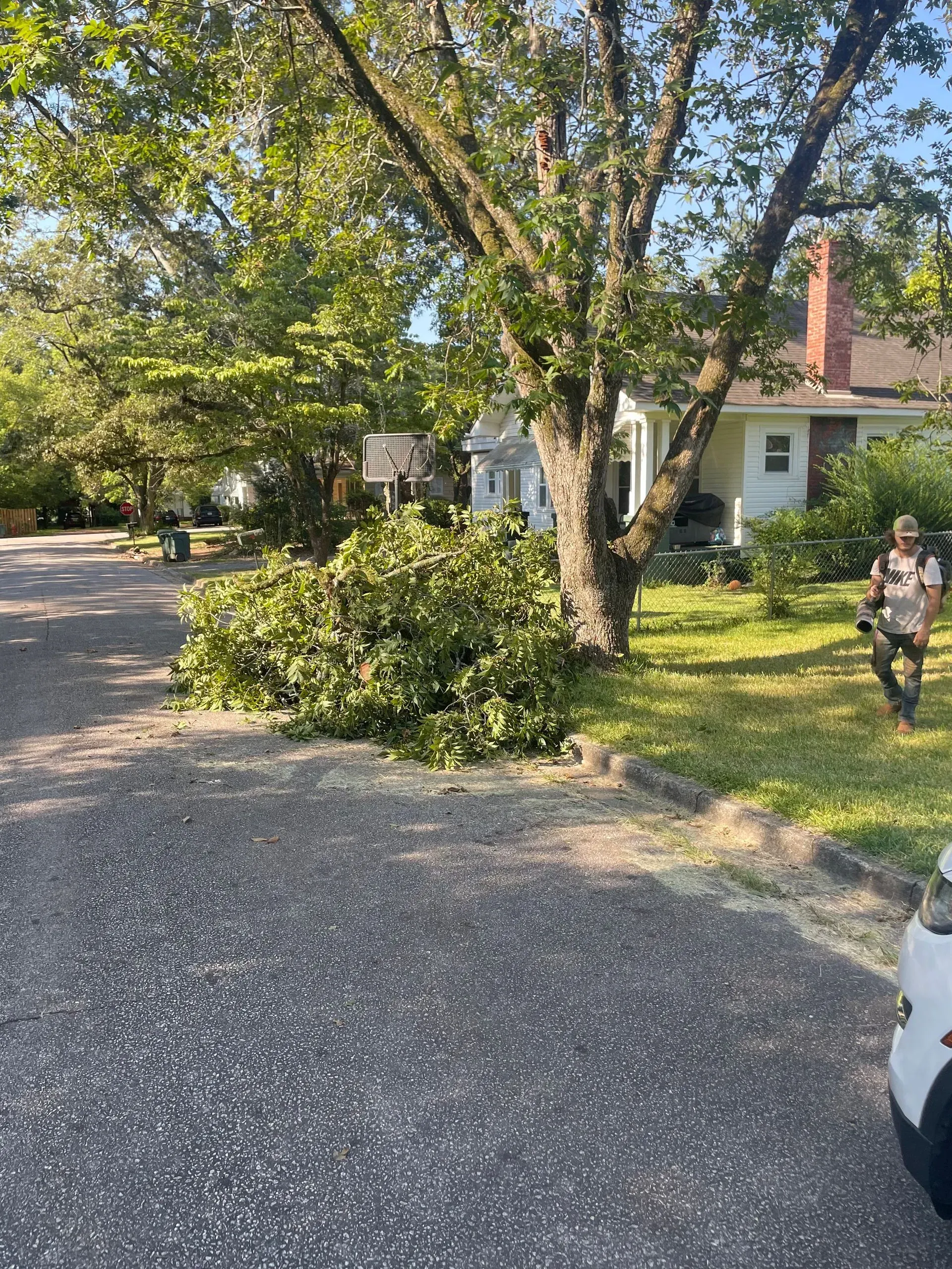 A man is cutting a tree in front of a house.