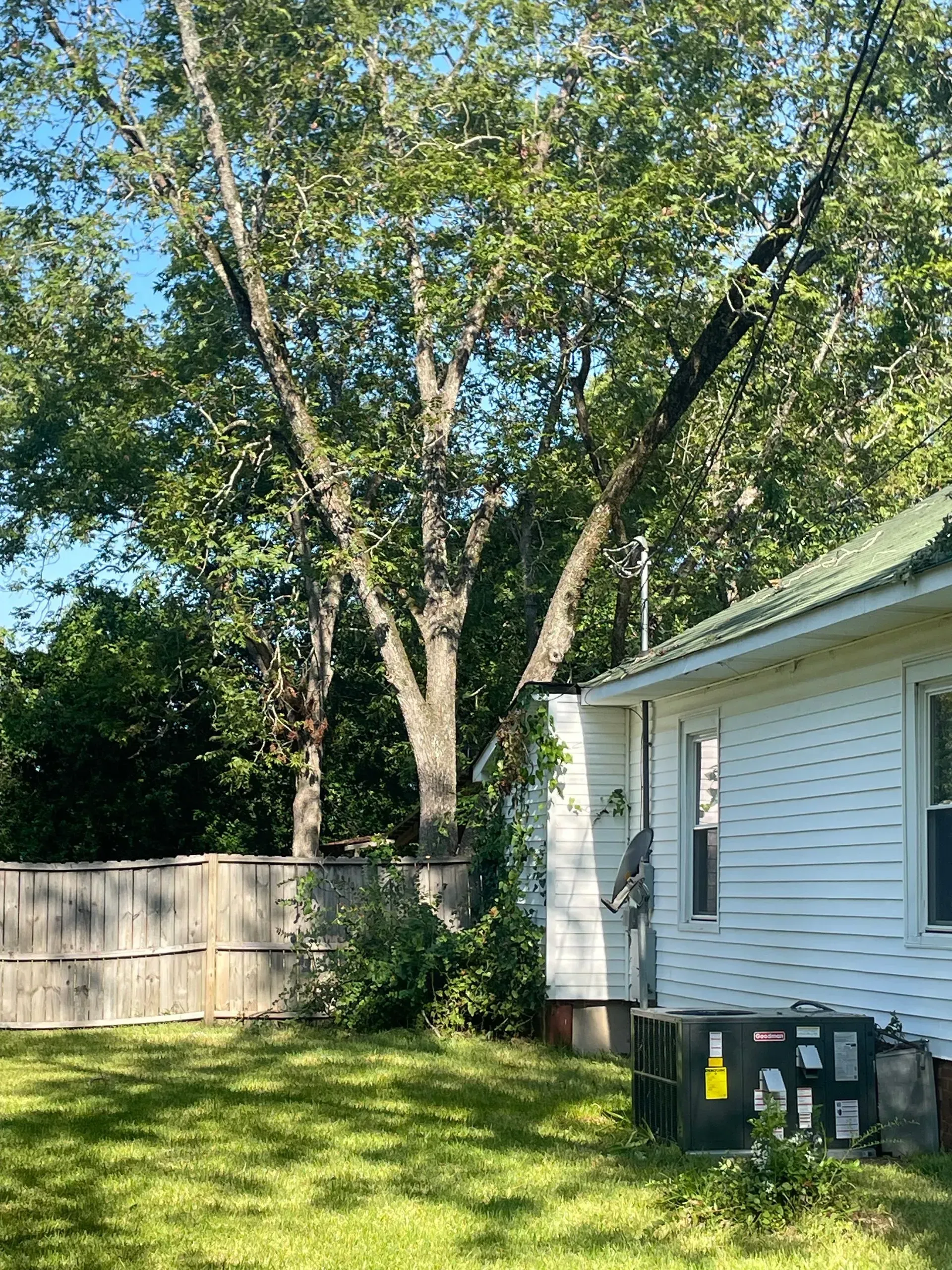 A white house with a large tree in the backyard.