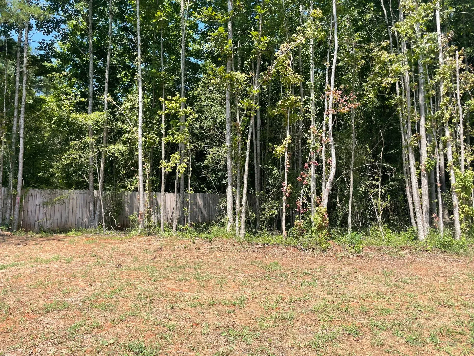 A field with trees and a fence in the background.