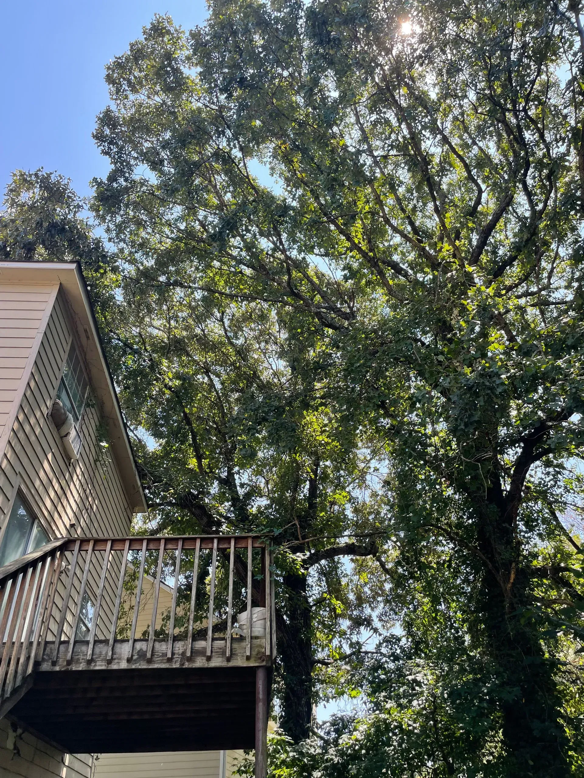 A house with a balcony and a tree in the background.