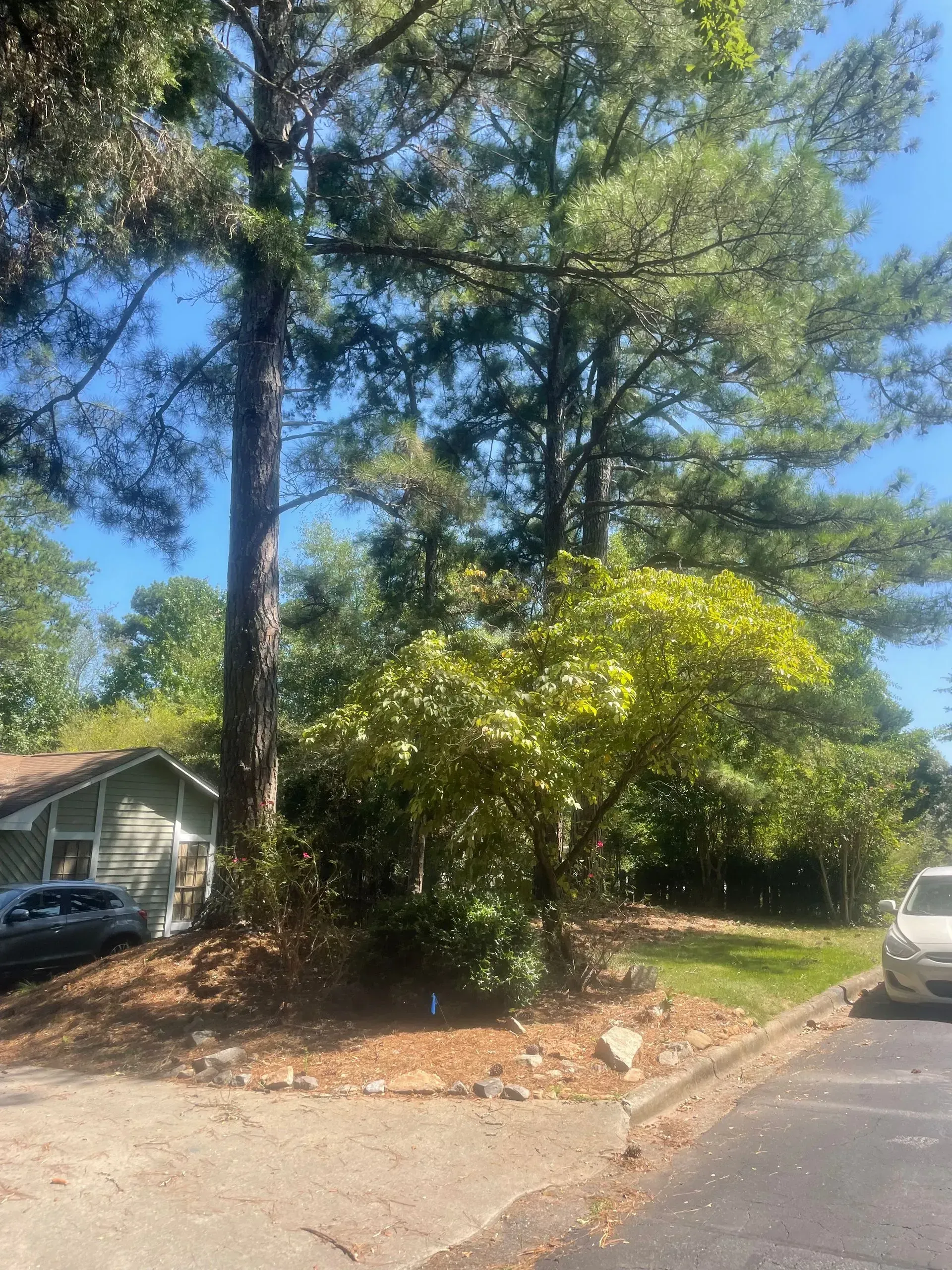 A car is parked in front of a house with trees in the background.