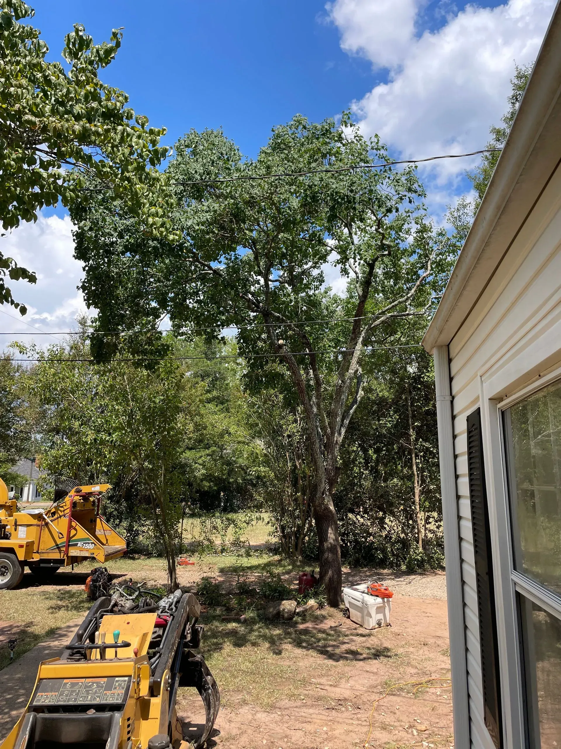 A tree is being cut down in front of a house.