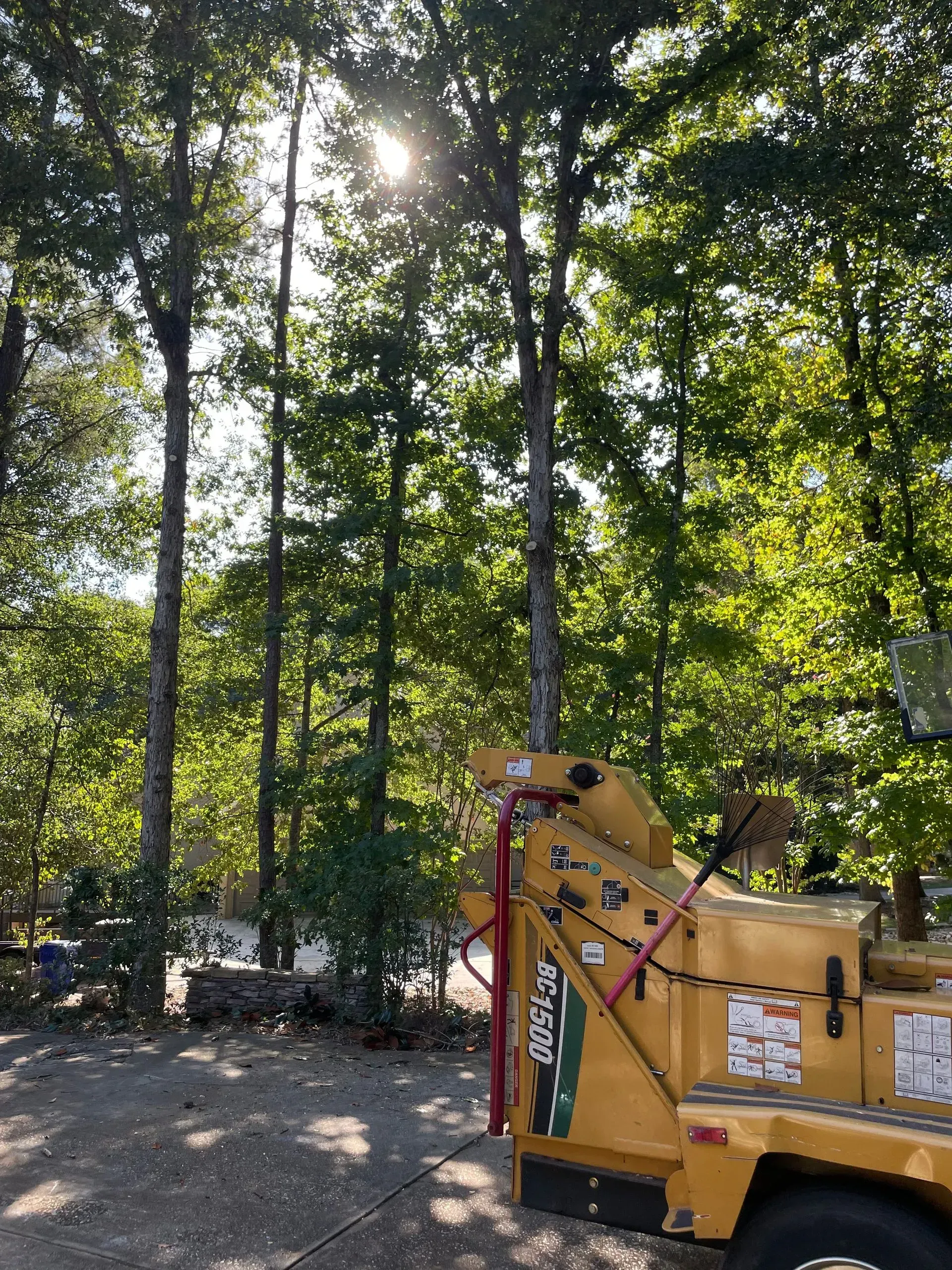 A yellow truck is parked in the middle of a forest.