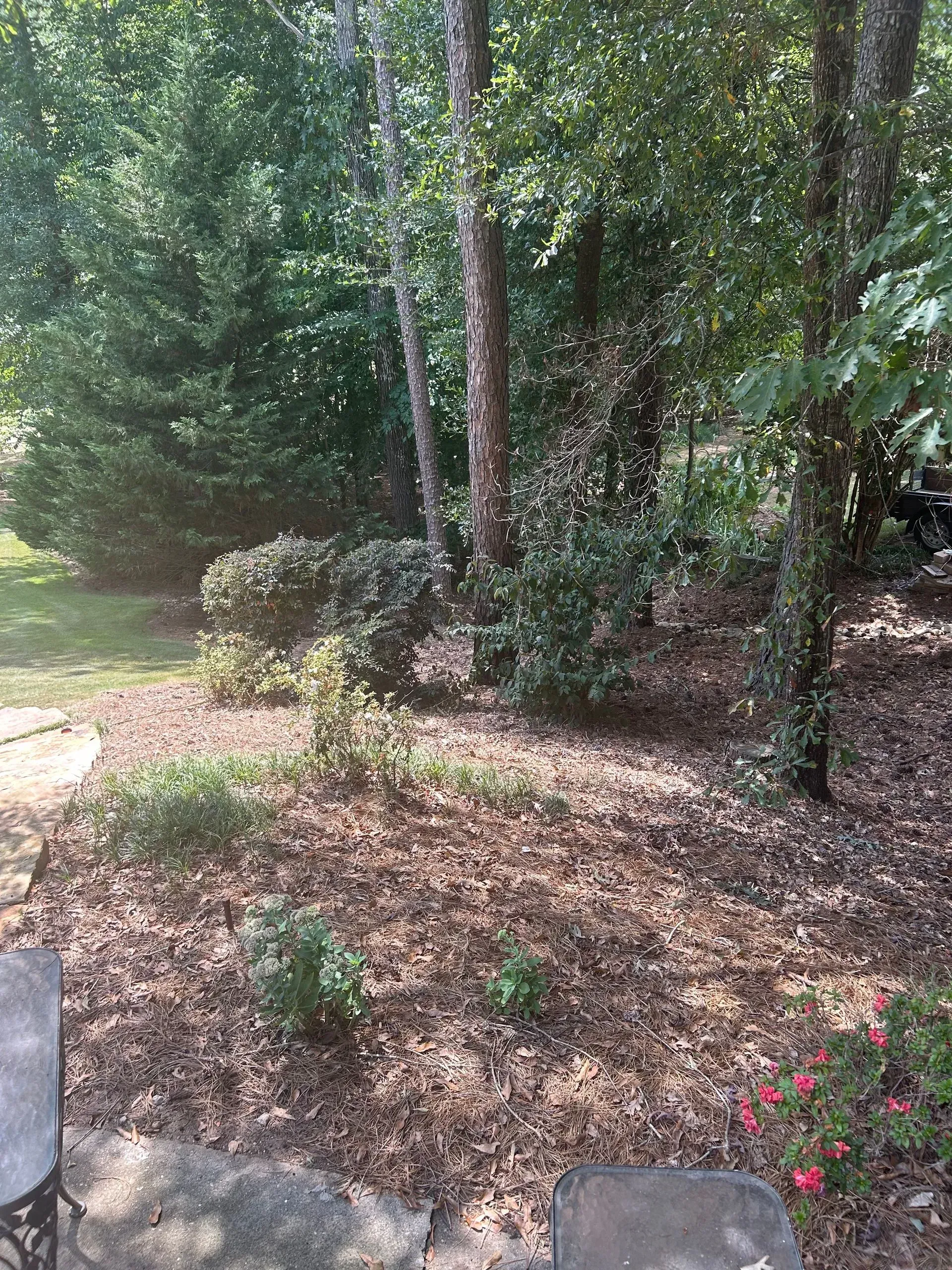 There is a table and chairs in the middle of the woods.