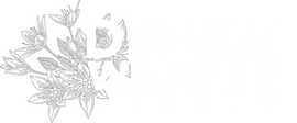 dreamweaver studio