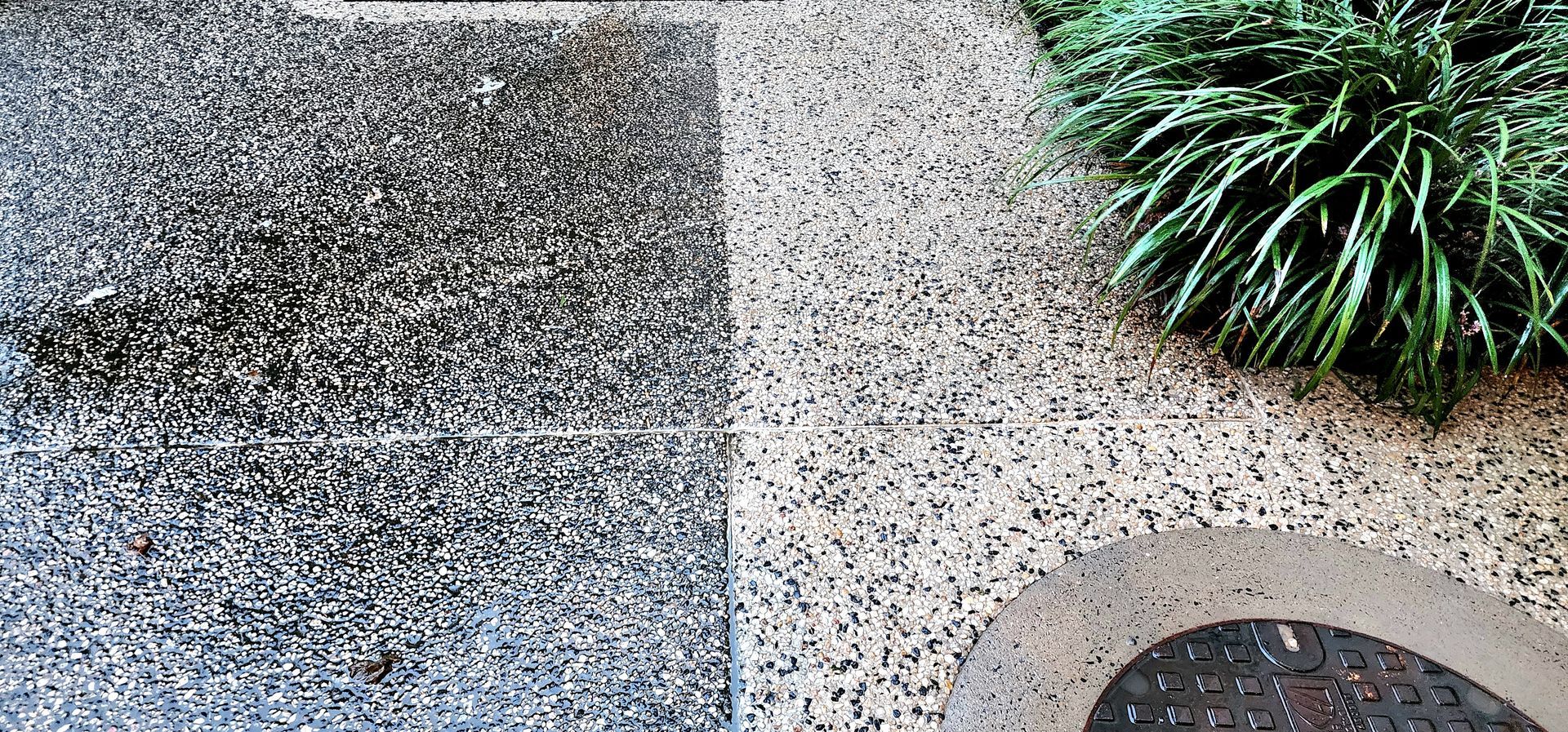 A contrast between dark, dirty speckled concrete and a clean, light-colored section near green foliage and a drain cover.