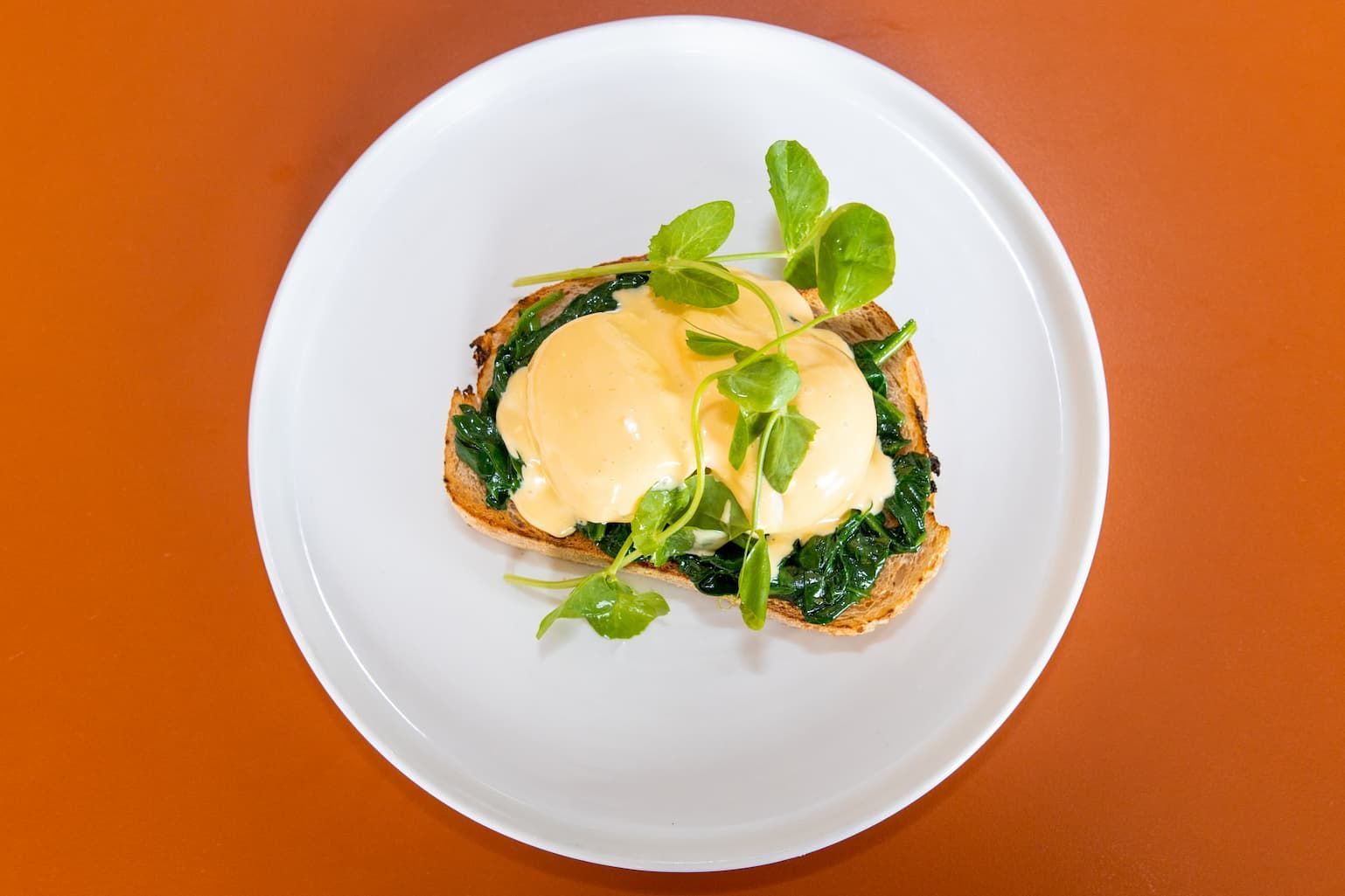 Eggs Florentine — Cafe, Bar and Catering Services in Southport, QLD