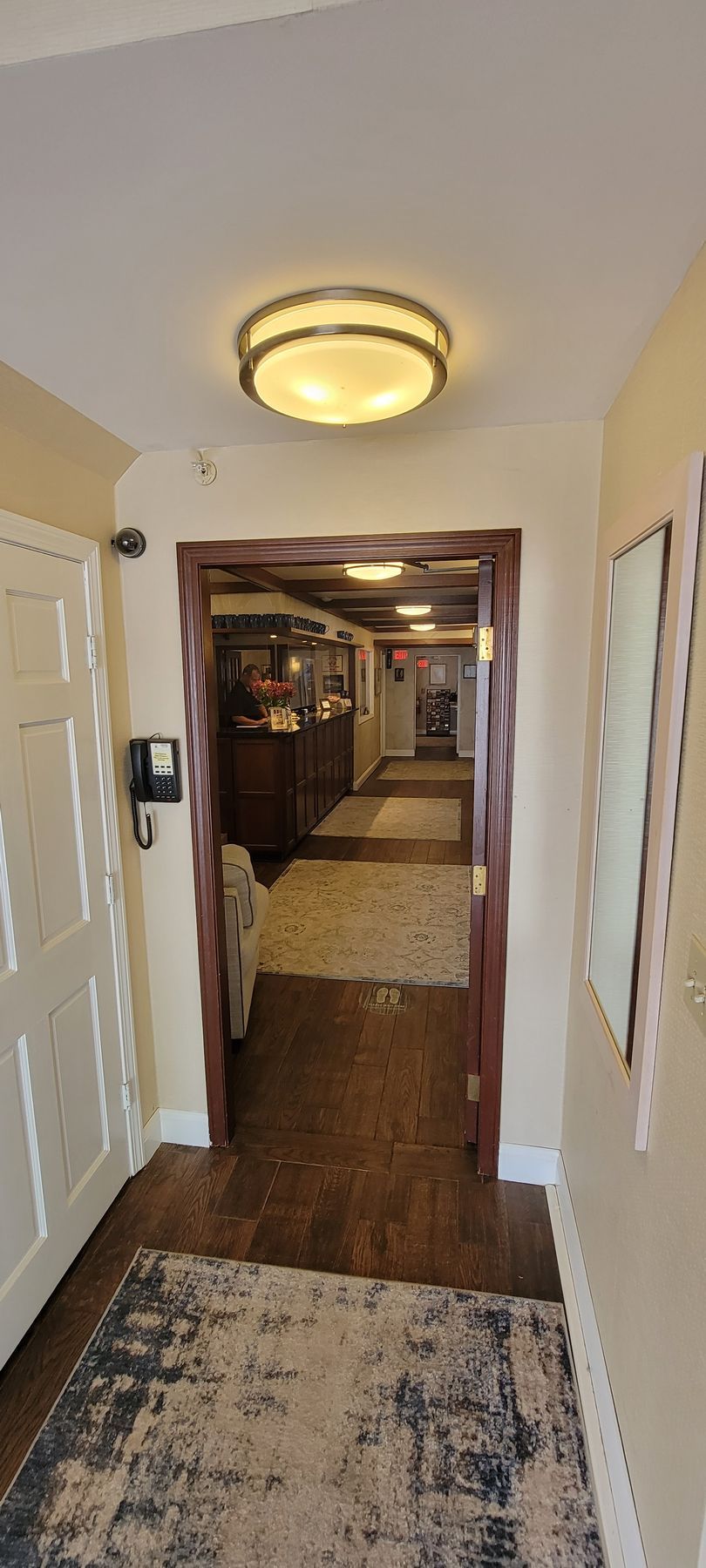 A long hallway with a rug on the floor and a ceiling light.