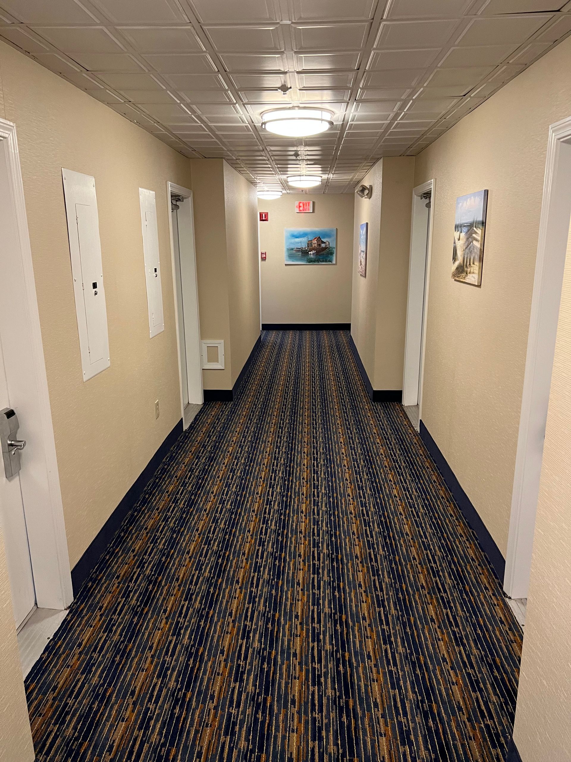 A hotel hallway with a blue and gold carpet