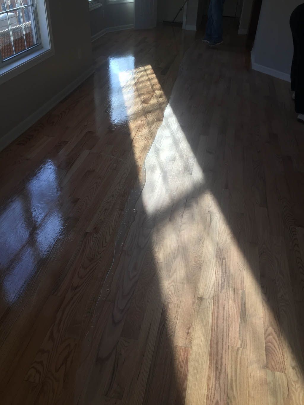 The sun is shining through the window on the wooden floor.
