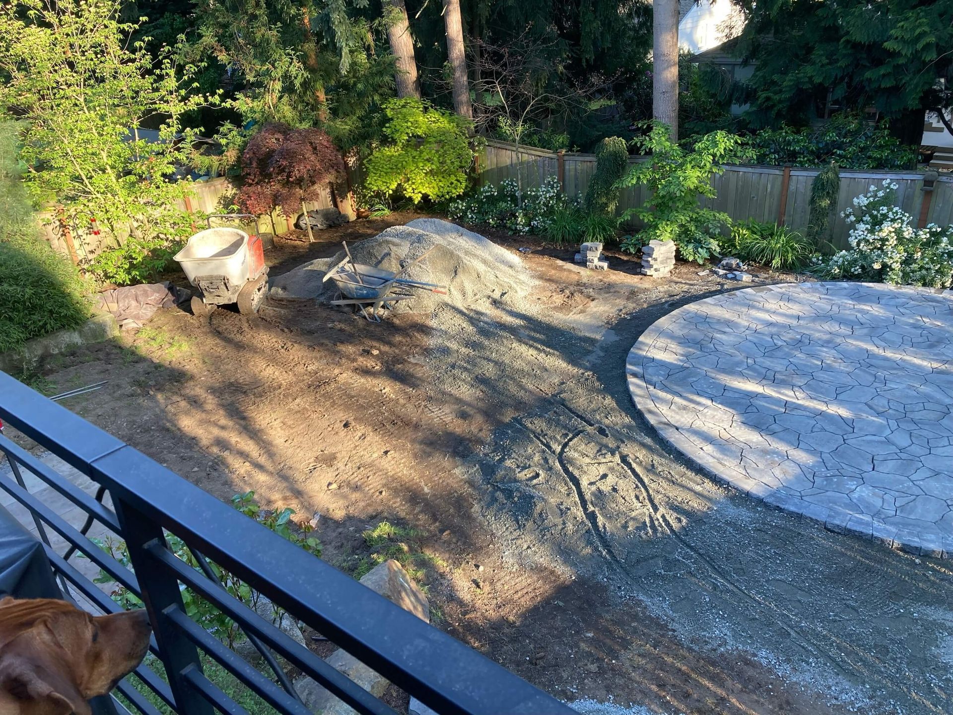 A dog is standing next to a wheelbarrow in a yard.