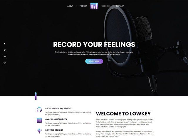 Music Records Themes by Search Marketing Specialists