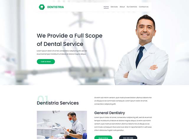 Dentistria Themes by Search Marketing Specialists