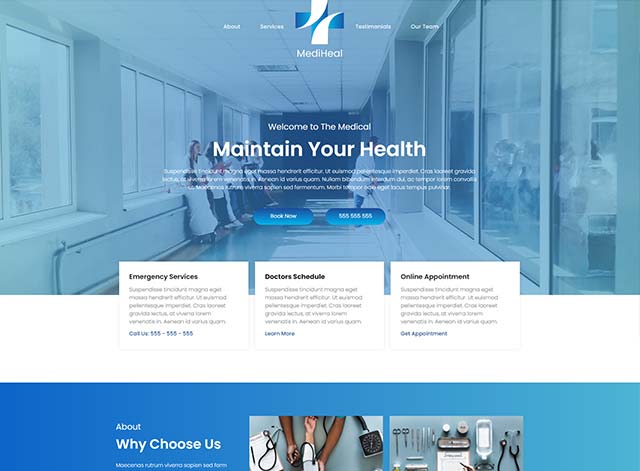Mediheal Themes by Search Marketing Specialists