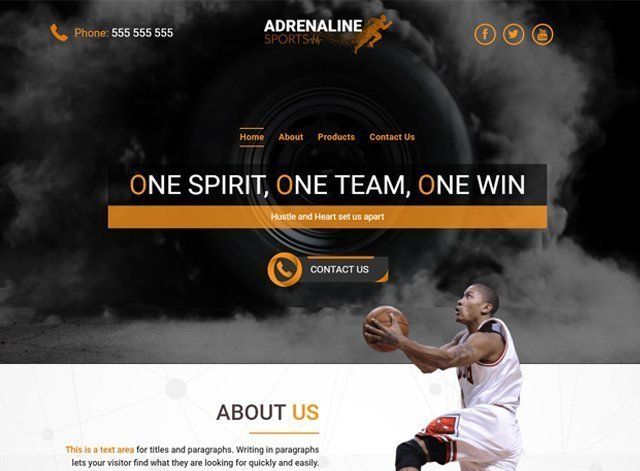 Sports Website Design Themes by Search Marketing Specialists