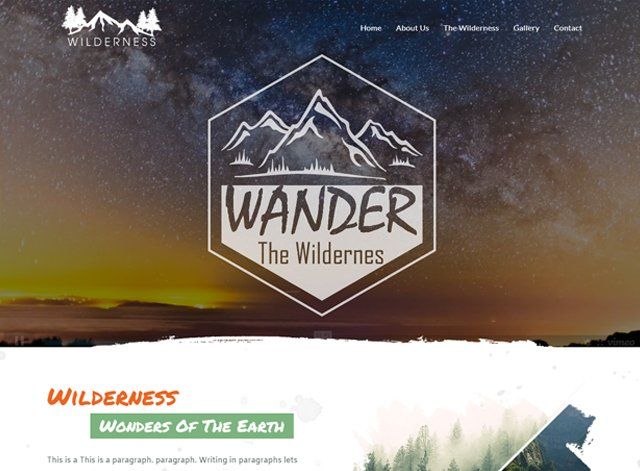 Travel Website Design Themes by Search Marketing Specialists