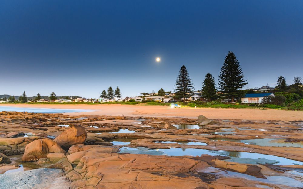 A Beach With A Lot Of Rocks And Trees In The Background — Coastline Air In Avoca, NSW