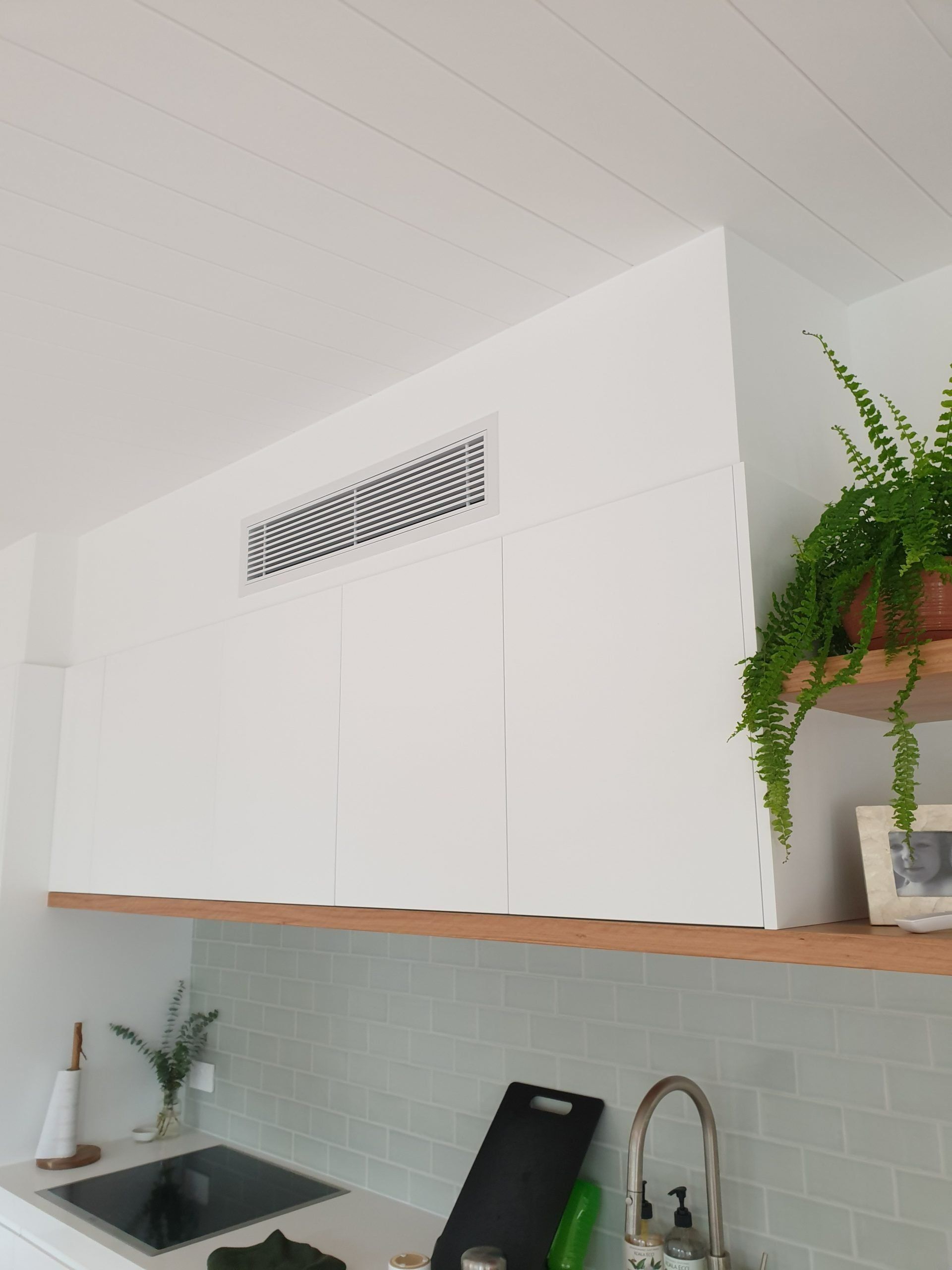 A Kitchen With White Cabinets And A Potted Plant On A Shelf — Coastline Air In Forresters Beach, NSW