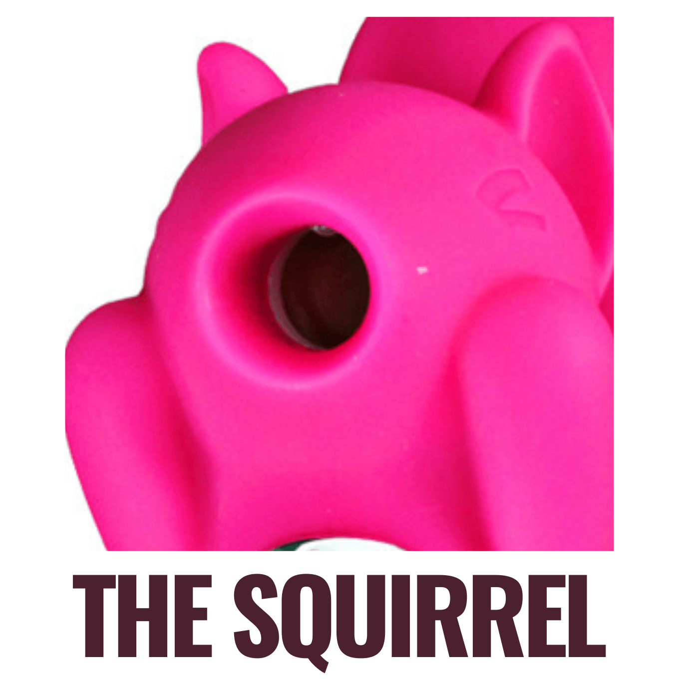 Shop The Squirrel Double-sided Vibrator