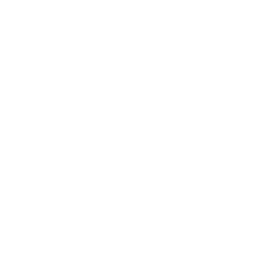 Icona-Plantari e calzature