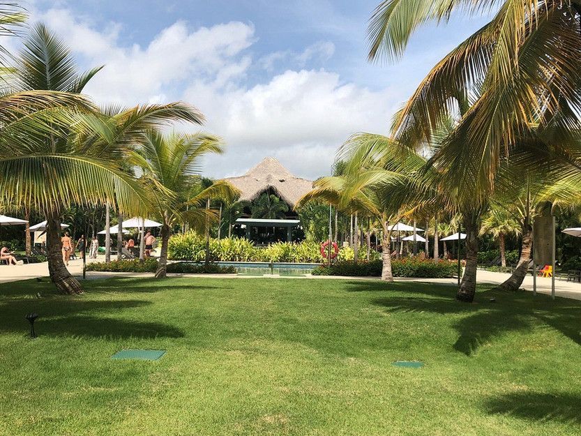 A large lush green field surrounded by palm trees and a building.