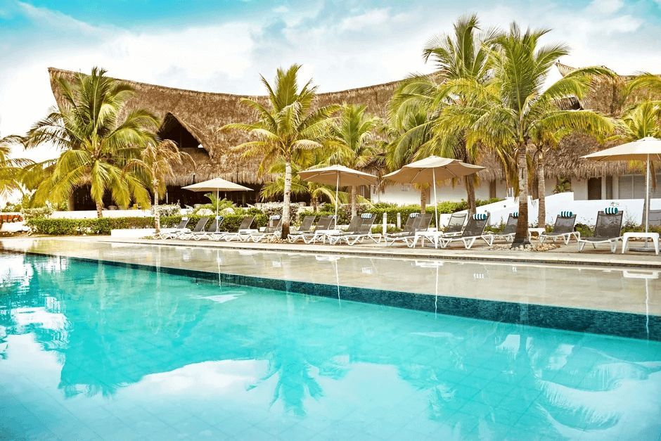 A large swimming pool surrounded by palm trees and chairs at a resort.