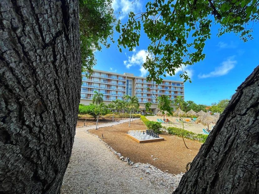 A view of a hotel through a tree trunk.