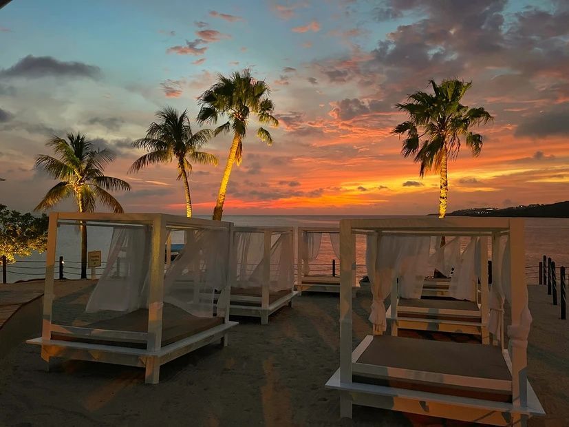 A row of beds on a beach at sunset with palm trees in the background.