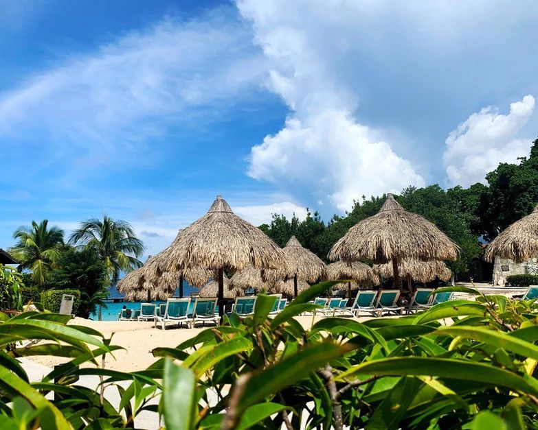 A row of thatched umbrellas and chairs on a beach.
