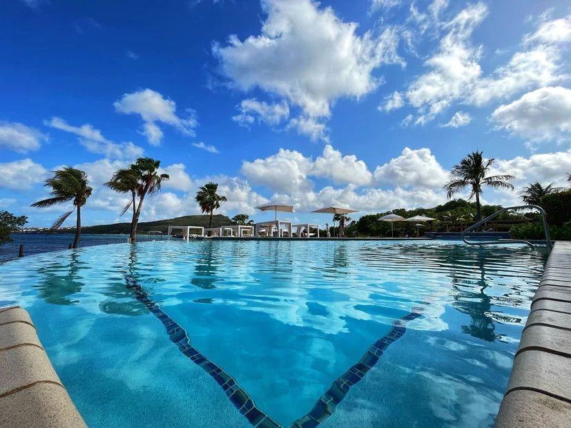 A large swimming pool with palm trees in the background