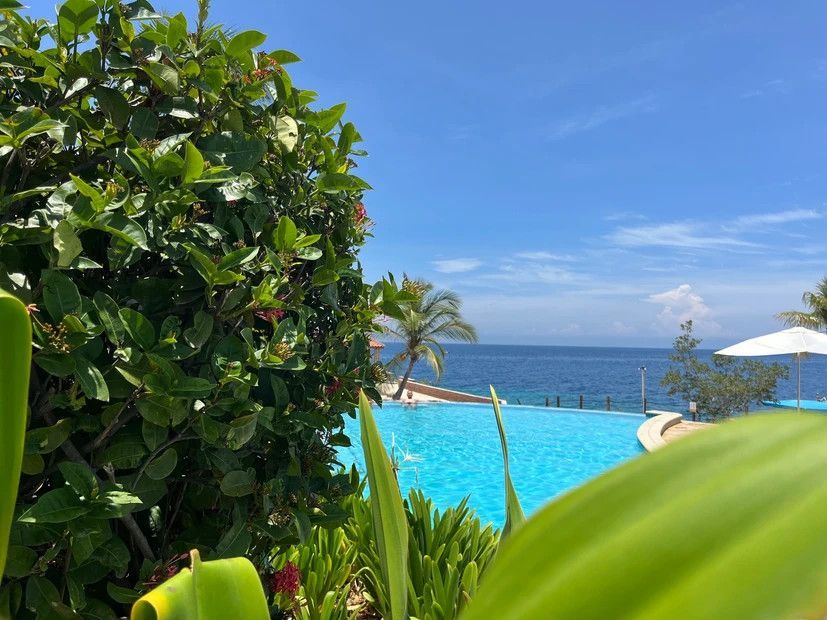 A swimming pool with a view of the ocean is surrounded by trees and plants.