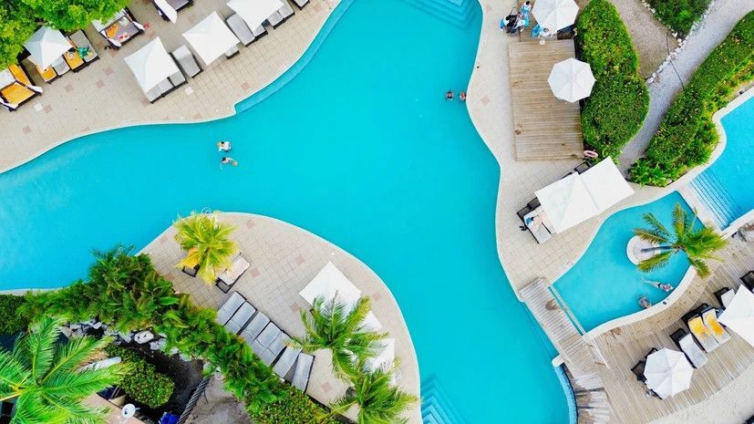 An aerial view of a large swimming pool surrounded by palm trees and chairs.