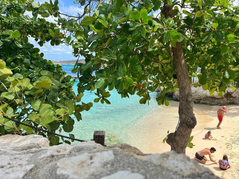 A group of people are playing in the sand on a beach.