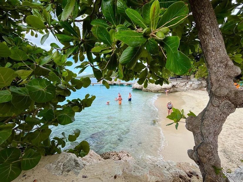 A group of people are swimming in the ocean on a beach.