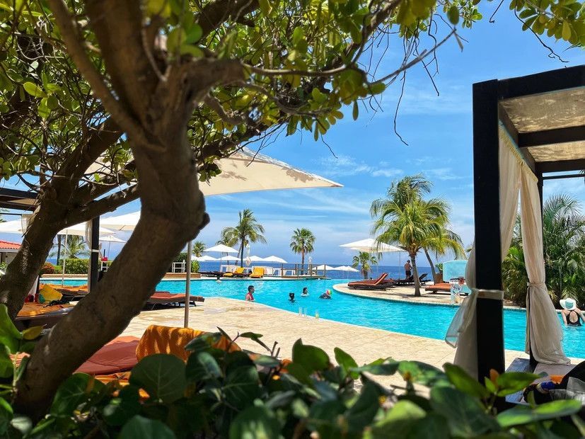 A large swimming pool surrounded by palm trees and umbrellas