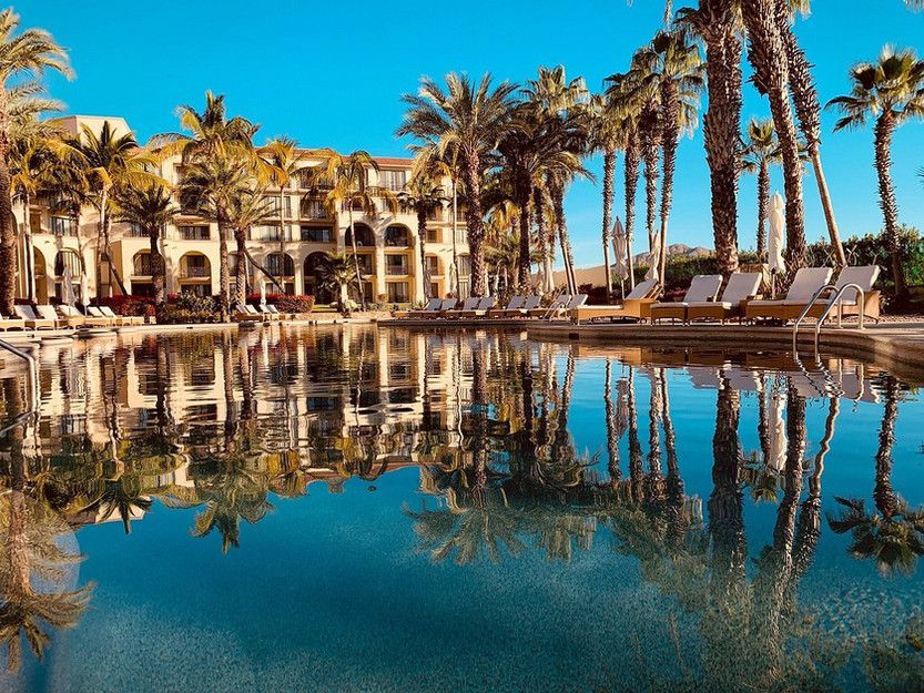 A large swimming pool surrounded by palm trees and chairs